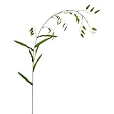 Floratexx