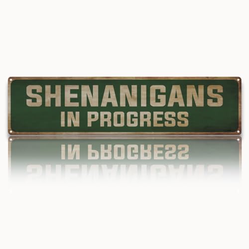 Shenanigans In Progress Signs, Retro Metal Tin Sign, Funny Shenanigans Sign, Farmhouse Home Wall Decor, Goth Kitchen Decor, Gothic Wall Decor 15.8x4 Inch