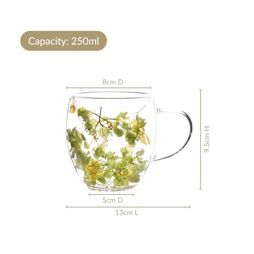 Image of Nestasia Double Wall Glass Mug with Dried Flowers Set of 2 (250ml Each) - Transparent Borosilicate Floral Glass Tea Cups | Lightweight & Durable Coffee Mugs - Perfect for Gifting (Yellow)
