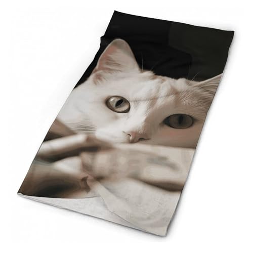 Neck Gaiter Wind-Proof Breathable Face Mask White Cat and Pile of Dollars Face Cover Sun Cooling Dustproof Mask Balaclava Bandana Headwear for Women Men Hiking Fishing miniatura 1