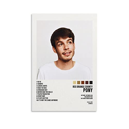 Poster Rex Orange County PONY 5 déco salon et chambre 60x90 cm