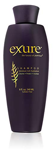 EXURE Shampoo with Amla and Argan Oil, 8fl. oz. (240ML)