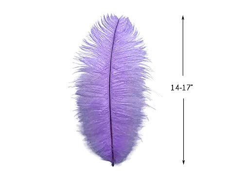 Pheasant Tails Feathers,Hgshow 10Pcs Plume Products Assorted Natural Feathers,About 20-22 inches,50-55cm Long