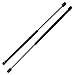 2Pcs Gas Struts 20 Inch 60 lbs Prop Lift Springs Rod Heavy Duty Tool Box Lid Top RV Pair by Motion18