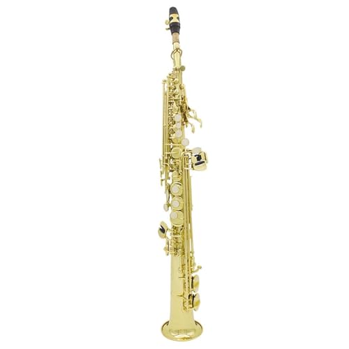 TbNXy \vm TbNX S[f Bb tbg ^J Xg[g TbNX ؊Ǌy P[Xt z  p[c