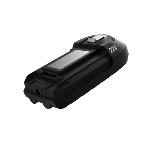 Rowenta Batterie amovible Lithium-ion 22V, Compatible aspirateur balai multifonction X-FORCE FLEX 8.60, 35 min d'autonomie supplémentaire ZR009700, Gris Anthracite