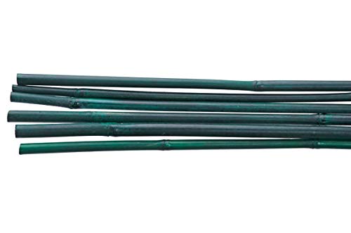 Bond 425 Bamboo Stake, 4-feet, 25-pack