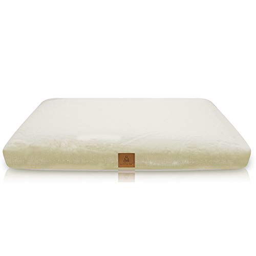 Zabuton Cushion in 10 Color - USA Buckwheat Hulls