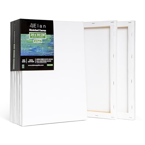 Elan Keilrahmen Leinwand 20x30 6er Set, 100% Baumwolle Leinwand zum Bemalen Klein, Leinwände für Acrylfarben 280GSM, Leinwände Klein, Keilrahmen 20x30