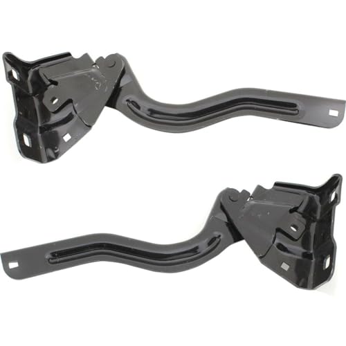 VIRAZE 2pcs Hood Hinges Set Assembly Left Driver and Right Passenger Side Pair 14417643 NI1236182 NI1236183