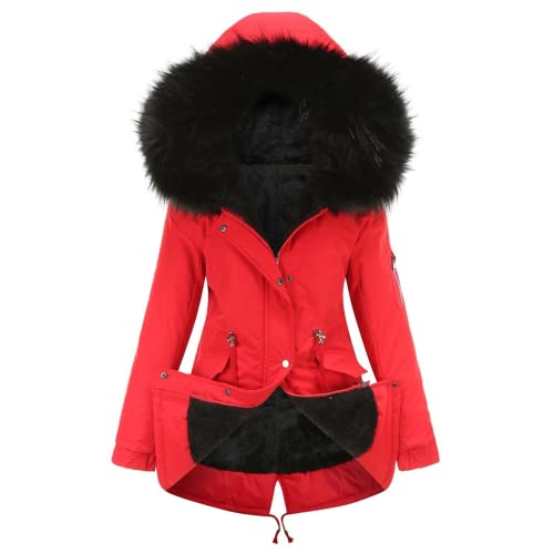 Veste d'hiver Femme Veste d'hiver Femme Veste en Coton Femme (Damen2,XL) Cover