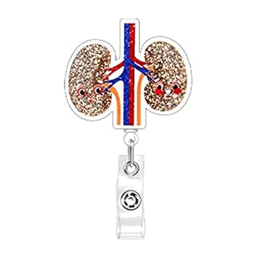 Acrylic Organ Badge Reel Rotating Clip Name Holder Acrylic Texture Present for Hospital Students and Educators Anatomical Heart 