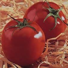 Sementes de Tomate Santa Cruz Kada Gigante 400mg Topseed Garden