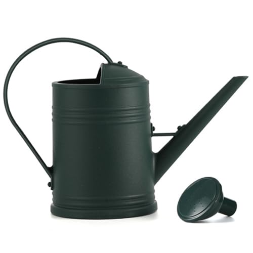 Arrosage de la plante 2L avec long bec et buse amovible pour intérieur - 2
