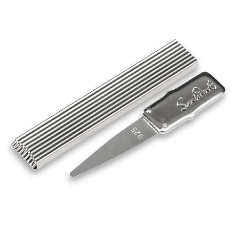 Sanident Zahnstocher mit flexibler 925er Silber-Spitze | Wiederverwendbar | Ideal Für Unterwegs | Hygienische Zahnzwischenraumreinigung