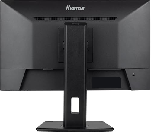 iiyama XUB2493HSU-B6-23.8",IPS,1920x1080/100Hz,1H1DP, Has