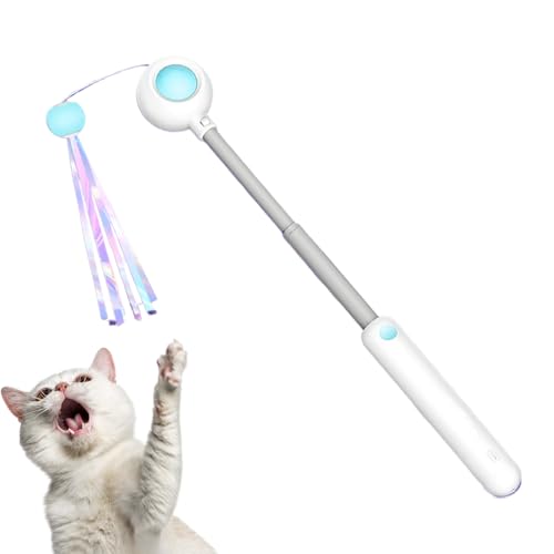 Jouets pour chat avec canne télescopique interactive pour appartement