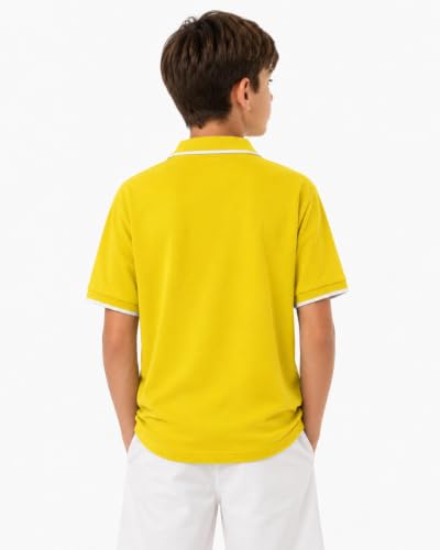 Image of Alan Jones Clothing Boys Solid Polo T-Shirt | Cotton Rich Regular Fit Half Sleeve Collar Tshirt for Boys | Age 6-16 Years