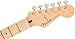 Fender Jimmie Vaughan Tex-Mex Stratocaster - Olympic White Bundle with Gig Bag, Strap, Cable, and Guitar Cleaning Kit