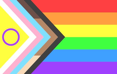 Drapeau Progress Pride brillant grand format résistant aux intempéries et UV