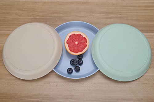 Luckyzone 9 Inches Reusable Wheat Straw Plates, Sets Of 4 | Lightweight & Unbreakable Plate For Home Kitchen | Dishwasher & Microwave Safe | Bpa Free & Eco-Friendly (9 Inches) #TOP4