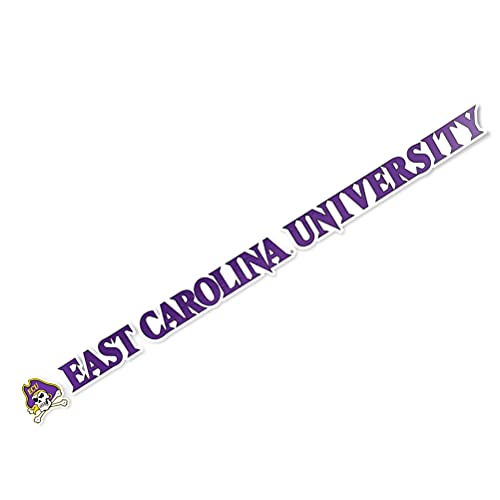 Desert Cactus East Carolina University Pirates ECU Name Logo Vinyl Decal Laptop Water Bottle Car Scrapbook (15 Inch Sticker)
