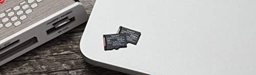Kingston Canvas Select Plus microSD Card SDCS2/16 GB Class 10 (SD Adapter Included)