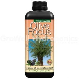 GT- Focus Range For Orchids Chillies,& More Specialist Plants Fruits & Trees (Olive Focus - 1L)