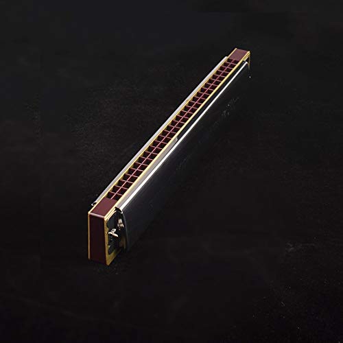 Swan 28-Hole Wide Range Playing Diatonic Harmonica Key Of C With Standard Harmonicas For Adults, Professional Player, Beginner And Students,Harmonica For Kids #TOP5