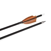 Carbonpfeile Bogenschießen - 6/12er Set Abnehmbare Spitzen Für Recurve & Compoundbogen