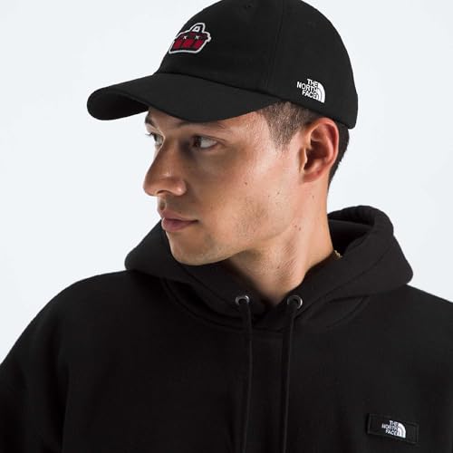 Image of The North Face Norm Baseball Hat | Shallow Fit Ball Cap with Embroidered Logo, Adjustable Strap Closure & Silver Buckle