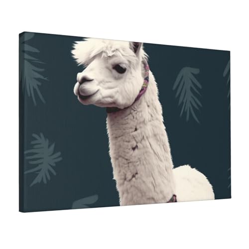 Toile lama alpaga poster HD déco chambre bureau 30x45