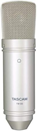 Tascam TM-80 Large Diaphagm Condenser Microphone,Silver