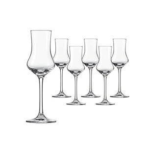 SCHOTT ZWIESEL Grappaglas Bar Special (set van 6), klassieke borrelglazen met steel, vaatwasmachinebestendige Tritan-kristalglazen, Made in Germany (artikelnr. 106225)