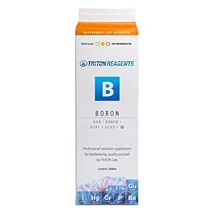 Triton B Bore 1000ml