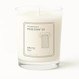 Arctic Ivy Scented Candle, 8oz Soy Jar with Long-Lasting Burn, Giftable, Holidays,Birthdays