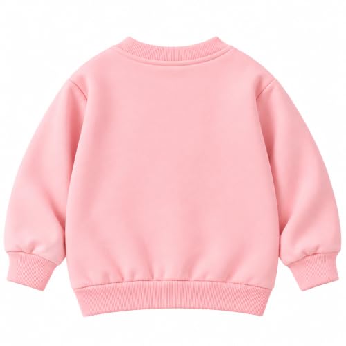 Image of Bold N Elegant Kid's Full Sleeve Unicorn Print Prewinter Cotton Round Neck Sweatshirt Pullover Tee For Infant Toddler Baby Girl's Kids