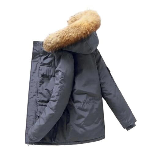 Y  _EWPbg n t@[ t[ht g p[J[ AEghA zf[ AE^[EFA