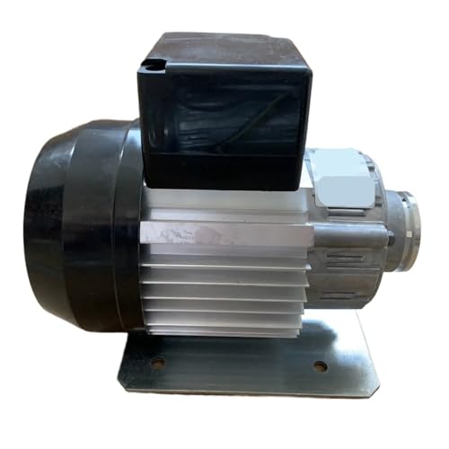 Stainless Steel Rotary Pump with 300W Motor