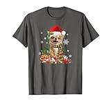 Photo Gallery simpatico cane chihuahua di halloween, cappello da strega, maglietta Photo Gallery simpatico cane chihuahua di halloween, cappello da strega, maglietta