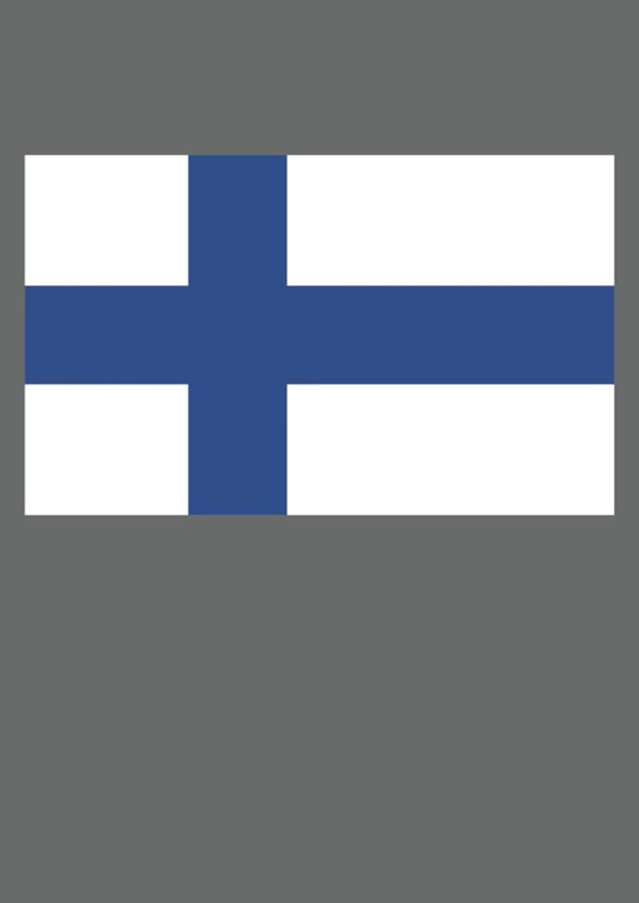 フィンランド語　SUOMEN ああ、フィンランド語か… : r/languagelearning