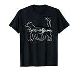 Schrodinger's Cat Design Co.