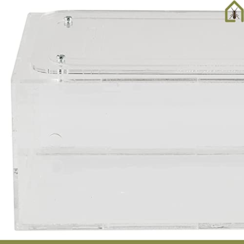AntHouse - Natural Sand Ant Farm | Acrylic Big Starter Kit | Educative Ant Hill | 11.81 x 5.91 x 3.94 in - Image 6