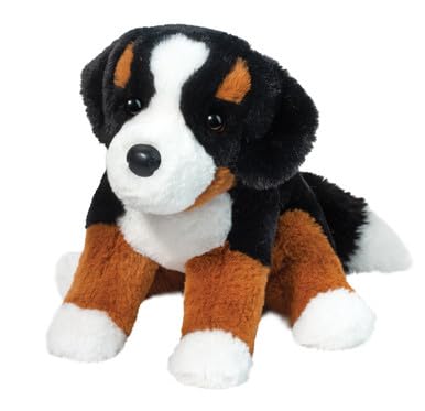 Soft Bernese Mountain Dog Bowie 11 by Douglas