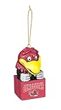 Team Sports America South Carolina Team Mascot Ornament