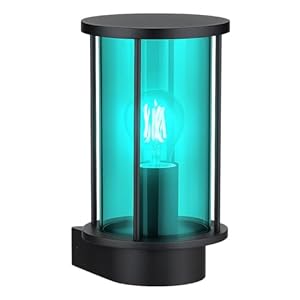 GLOBO Außenwandleuchte Edelstahl Haustürlampe dimmbar