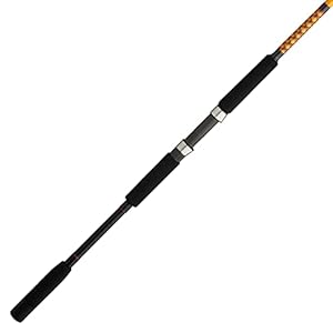 Ugly Stik Bigwater Spinning Fishing Rod
