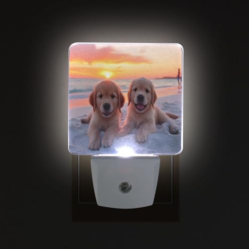Image of Golden Retriever Puppy Dogs Night Lights 2 Pack Plug-in Wall Led Nightlight Auto Dusk-to-Dawn Sensor Lamps for Bedroom Kitchen Bathroom