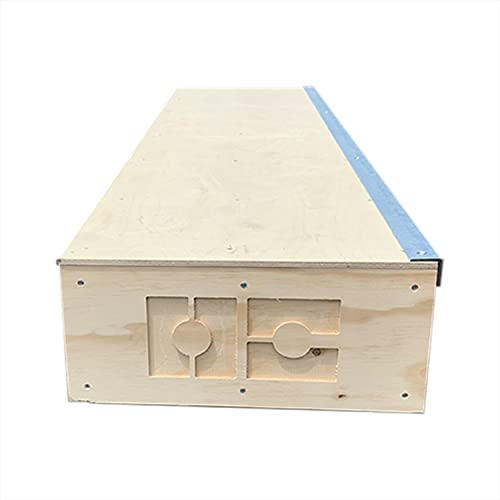 OC Ramps 6ft Grind Box