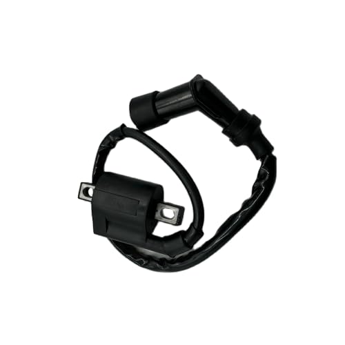 Bobina de encendido para YMH 350 ATV, repuesto eléctrico compatible con quad YFM350 y YFM 350 1